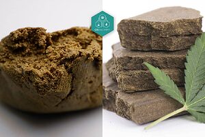 Haschisch et chocolat : deux formes de résine de cannabis comparées.