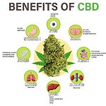 Infographie sur les bienfaits de l'huile de CBD.