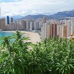 CBD Shop in Benidorm : Variété de produits naturels.