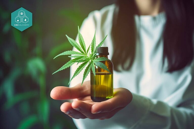 Image montrant une plante de cannabis et des bouteilles d'huile de cannabis médicale.