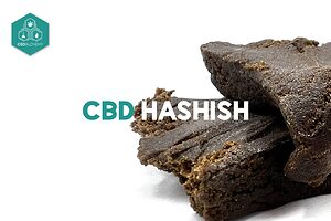 Le CBD hash de qualité supérieure se distingue par sa forte concentration en CBD et sa texture riche en résine.